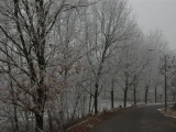 Tn DSC 0059